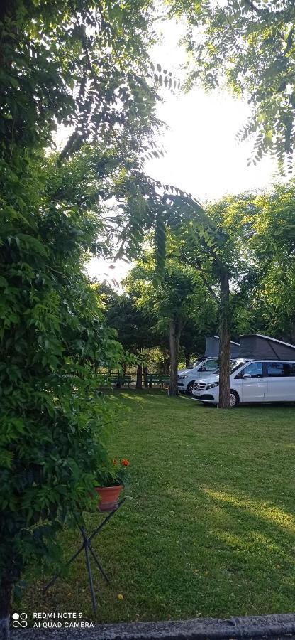 Bracchetto Vetta Campeggio